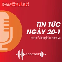 Tin tức sáng 20-1: Chư Sê: Phát hiện hơn 5,5 ha rừng phòng hộ bị lấn chiếm, lấy đất trồng mía