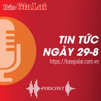 Tin tức sáng 29-8: Gia Lai điều động, bổ nhiệm 5 Hiệu trưởng các trường THPT