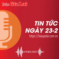 Tin tức sáng 23-2: Công an huyện Ia Grai bắt 4 đối tượng tàng trữ, mua bán trái phép chất ma túy