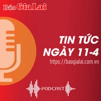 Tin tức sáng 11-4: Quản lý rừng bằng công nghệ QGIS