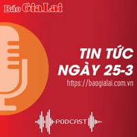 Tin tức sáng 25-3: Pleiku cần rà soát, có phương án quy hoạch những vị trí có quỹ đất sạch