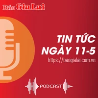 Tin tức sáng 11-5: Đak Đoa: Khởi tố nguyên công chức địa chính xã Hải Yang 