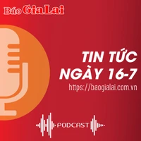 Tin tức sáng 16-7: Nông dân xã Ia Tô “đưa bò vào chuồng”