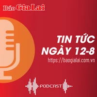 Tin tức sáng 12-8: Gia Lai kiểm kê đất đai trên phạm vi toàn tỉnh