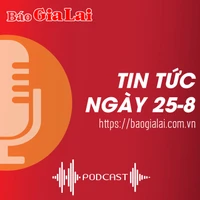 Tin tức sáng 25-8: Xã hội hóa nhà ở xã hội ở Gia Lai đang “nghẽn”