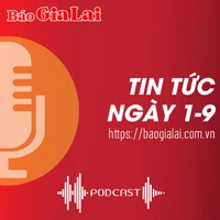 Tin tức sáng 1-9: Nguyên Cảnh sát giao thông Công an huyện Chư Prông bị truy tố