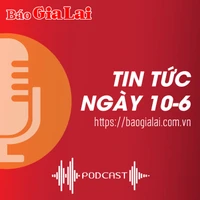 Tin tức sáng 10-6: Gia Lai thành lập tổ công tác đặc biệt tháo gỡ khó khăn, vướng mắc cho doanh nghiệp, nhà đầu tư