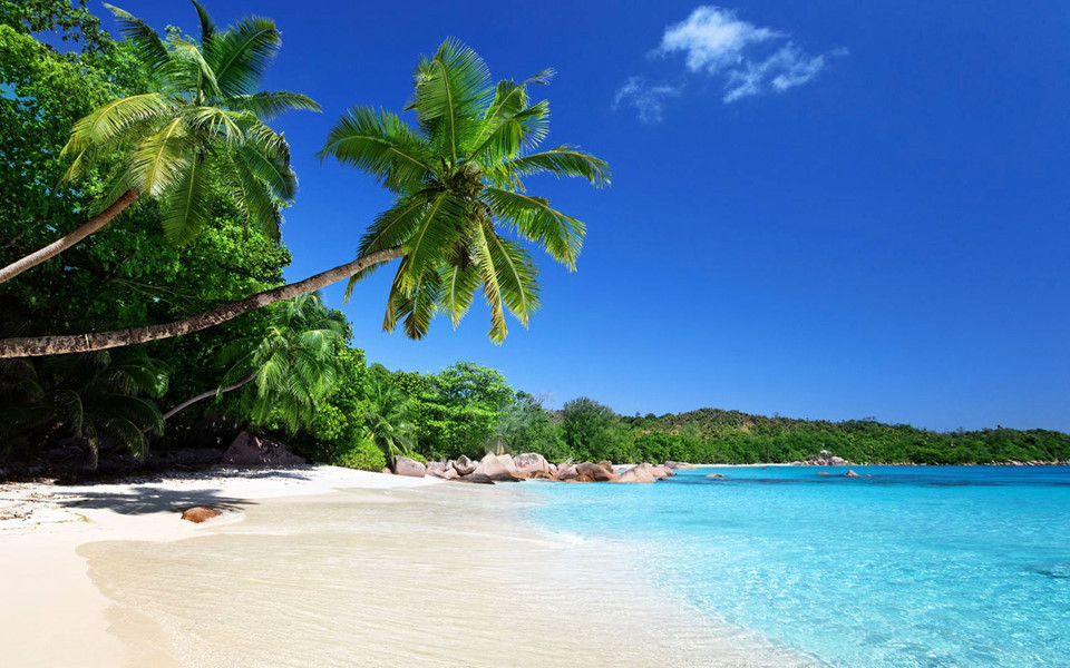 Beach in Viet Nam