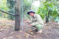 Thúc đẩy phát triển kinh tế số