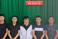 Triệt phá băng nhóm trộm cắp xe máy ở TP.HCM bán sang Campuchia