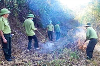 Ủy ban nhân dân huyện Kbang yêu cầu các cơ quan, đơn vị, địa phương liên quan và các đơn vị chủ rừng đẩy mạnh công tác tuyên truyền, phổ biến các quy định về PCCCR. Ảnh: M.P