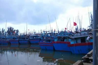 Tìm kiếm ngư dân mất tích trên biển Quảng Ngãi