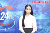 Gia Lai 24h: Đặt phòng online, mất 800 triệu đồng vì web giả danh resort