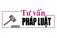 Luật sư Bùi Thanh Vũ tư vấn pháp luật