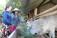 An Khê “tiếp sức” giúp người dân thoát nghèo