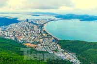Bình Định: Phát hiện nơi ngắm trọn phố biển Quy Nhơn 'thức giấc'
