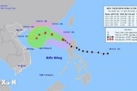 Bão số 8 di chuyển theo hướng Tây Tây Bắc, gió giật cấp 12 ở Bắc Biển Đông