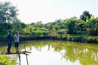 Hồ nuôi cá của gia đình ông Phan Đình Đại (thôn 5, xã Ia Tô). Ảnh: N.H