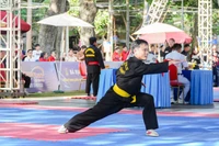 Đoàn đất Võ tham dự 9 VĐV