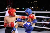 Mãn nhãn Đêm võ đài Bình Định