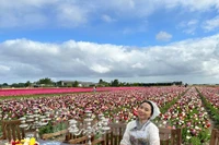 Người Việt lạc lối giữa cánh đồng hoa tulip như cổ tích ở Hà Lan