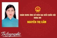 Chân dung ứng cử viên đại biểu Quốc hội khóa XVI Nguyễn Thị Cẩm