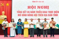 Các cá nhân có thành tích xuất sắc trong 5 năm triển khai thực hiện mô hình Nông hội trên địa bàn tỉnh được Chủ tịch UBND tỉnh tặng Bằng khen. Ảnh Đức Thụy