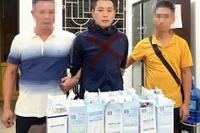 Triệt phá đường dây tuồn ma túy từ châu Âu vào Việt Nam qua đường hàng không