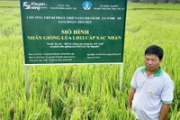 Krông Pa kỳ vọng giống lúa LH12