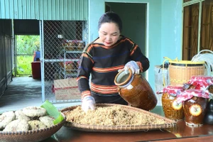 Gia Lai: Vùng dân tộc thiểu số đổi thay nhờ chuyển đổi số 