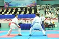 Gần 520 vận động viên tranh tài Giải vô địch Karate tỉnh Gia Lai năm 2025