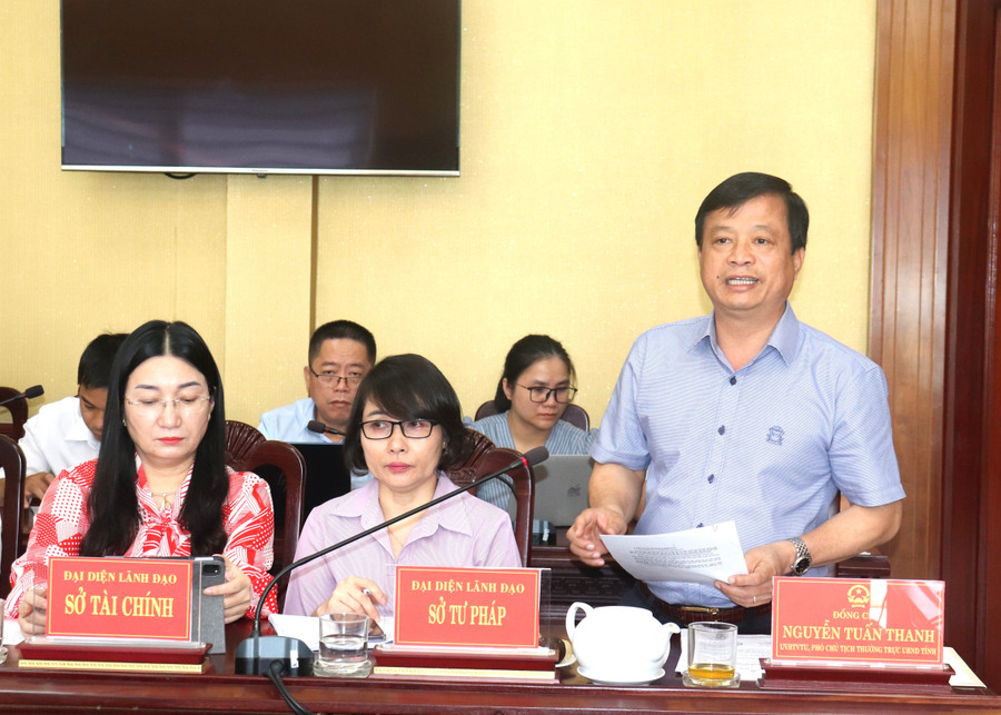 Phó Chủ tịch Thường trực UBND tỉnh Nguyễn Tuấn Thanh phát biểu tại phiên họp. Ảnh: M.H 2.jpg