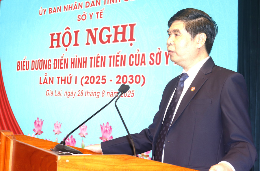 Phó Chủ tịch UBND tỉnh Lâm Hải Giang phát biểu tại Hội nghị. Ảnh: M.H 5.jpg