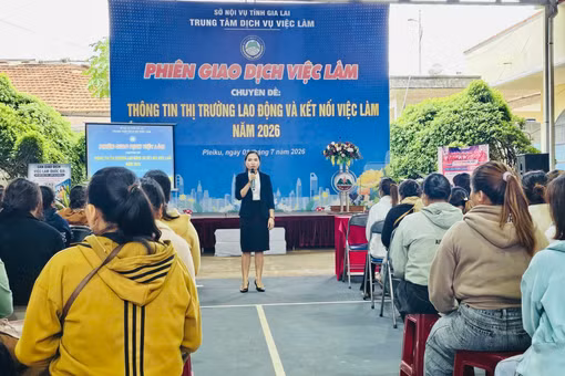 Gia Lai tổ chức 2 phiên giao dịch việc làm dành cho người lao động 
