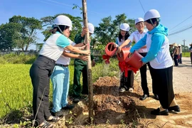 Hội Liên hiệp Phụ nữ tỉnh Gia Lai tổ chức lễ phát động hưởng ứng phong trào Tết trồng cây - Đời đời nhớ ơn Bác Hồ với sự tham gia của hàng trăm hội viên tại phường Bình Định.