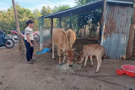 Kon Gang tạo đòn bẩy giúp người dân thoát nghèo