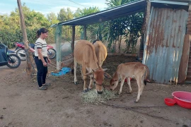 Kon Gang tạo đòn bẩy giúp người dân thoát nghèo