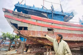 Ngư dân khẩn trương khắc phục tàu cá bị hư hỏng nặng do bão lũ, sửa chữa tàu để sớm vươn khơi trở lại, khôi phục sản xuất.