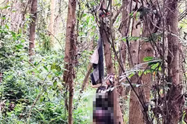 Phát hiện thi thể đang phân hủy trong tư thế quỳ tại xã Vạn Đức