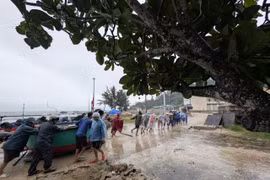 Xã đảo Nhơn Châu (Gia Lai) kích hoạt toàn bộ phương án chủ động ứng phó bão số 13 theo phương châm "4 tại chỗ"