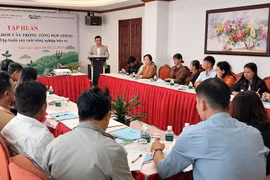 Cán bộ khuyến nông và nông dân Tây Gia Lai tham gia lớp tập huấn Quản lý sức khỏe cây trồng tổng hợp (IPHM).