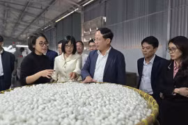 Phó Bí thư Tỉnh ủy, Chủ tịch UBND tỉnh Phạm Anh Tuấn thăm Công ty cổ phần Dâu tằm tơ Hàm Rồng và kiểm tra dự án đường Nguyễn Văn Linh.