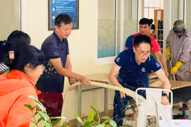 Nỗ lực khôi phục trường lớp bị ngập sâu trong biển nước ở Gia Lai sau trận lũ lịch sử, thể hiện tinh thần quyết tâm đưa trường học hoạt động sớm nhất.