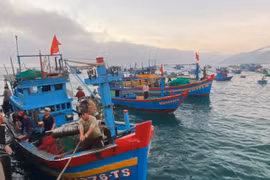 UBND tỉnh quyết định tạm ứng hơn 4,4 tỷ đồng để hỗ trợ ổn định đời sống các chủ tàu cá không đủ điều kiện khai thác thủy sản trên địa bàn tỉnh.