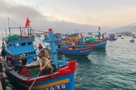 UBND tỉnh quyết định tạm ứng hơn 4,4 tỷ đồng để hỗ trợ ổn định đời sống các chủ tàu cá không đủ điều kiện khai thác thủy sản trên địa bàn tỉnh.