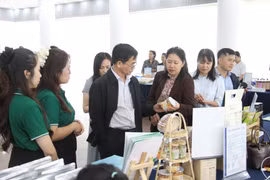 Các thành viên Hội đồng đánh giá, phân hạng sản phẩm OCOP tỉnh Gia Lai thẩm định kỹ lưỡng chất lượng 26 sản phẩm cấp tỉnh.