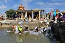 Thả cá giống xuống đầm Thị Nại là hoạt động thường xuyên của ngành Nông nghiệp và Môi trường tỉnh Gia Lai nhằm phục hồi, tái tạo, phát triển nguồn lợi thủy sản