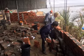 Người dân khẩn trương dựng lại chuồng trại chăn nuôi bị thiệt hại nặng sau cơn bão số 13, nỗ lực khôi phục sản xuất.