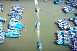 Tỉnh chỉ đạo rà soát, nâng cấp hệ thống cảng cá nhằm hiện đại hóa hạ tầng nghề cá.