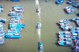 Tỉnh chỉ đạo rà soát, nâng cấp hệ thống cảng cá nhằm hiện đại hóa hạ tầng nghề cá.